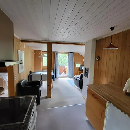 Wildbach By Interhome Lenk