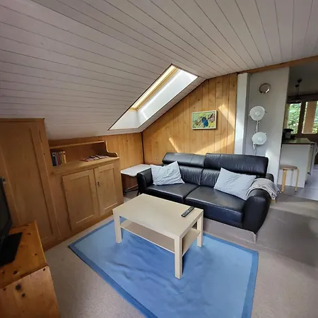 Wildbach By Interhome Lenk