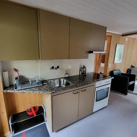 Wildbach By Interhome Appartement